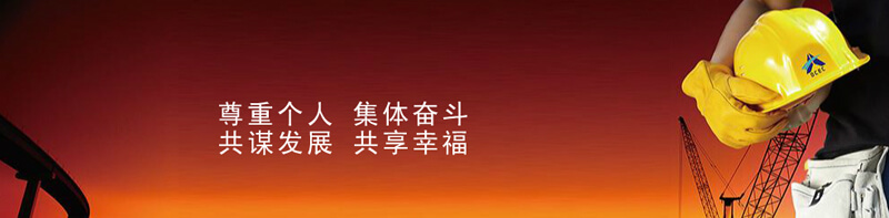 ׯкϷ(й)ɷ޹˾-