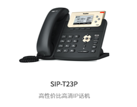 ׯкϷSIP-T23