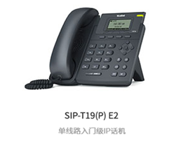 ׯкϷSIP-T19